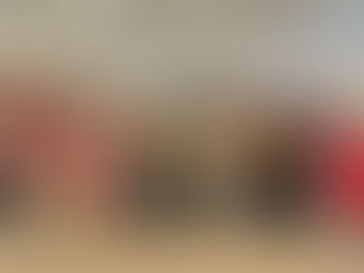 Miqcb e demais membros do Consea-PI tomam posse para o biênio 2023/2024