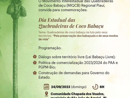 Lei Babaçu Livre e comercialização fará parte da programação do Dia Estadual das quebradeiras no PI