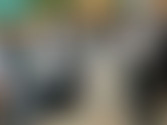 15 anos do Fundo Amazônia: Fundos Comunitários Entrega Carta de reivindicações para ministra