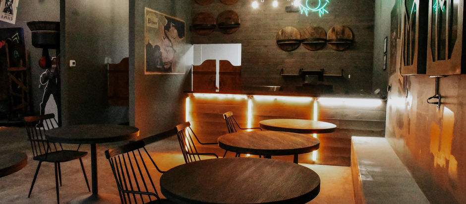 Bearology: The World of Immersive Experiences for Fans!