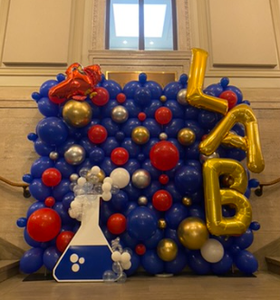 Balloon Wall Design by Eye Candy Balloons