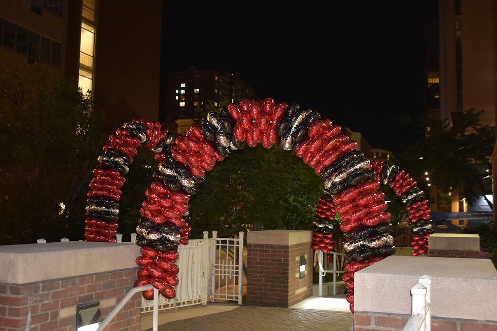 Mylar Balloon Arch, Latex free Balloon Arch for MCPHS - Eye Candy Balloons