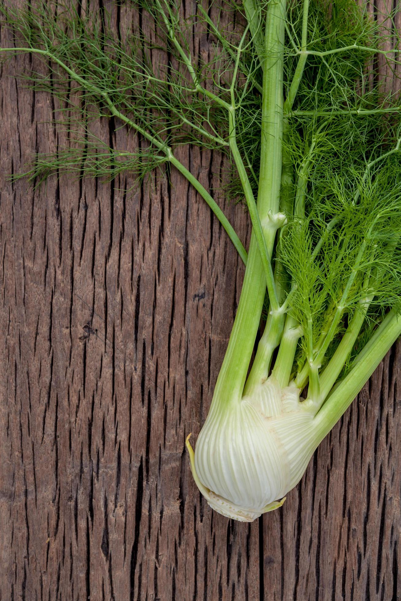 Fennel
