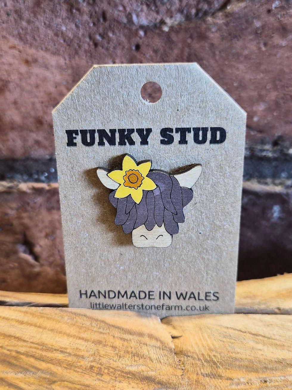 Thumbnail: Wooden Pin Badge  - Highland Cow 