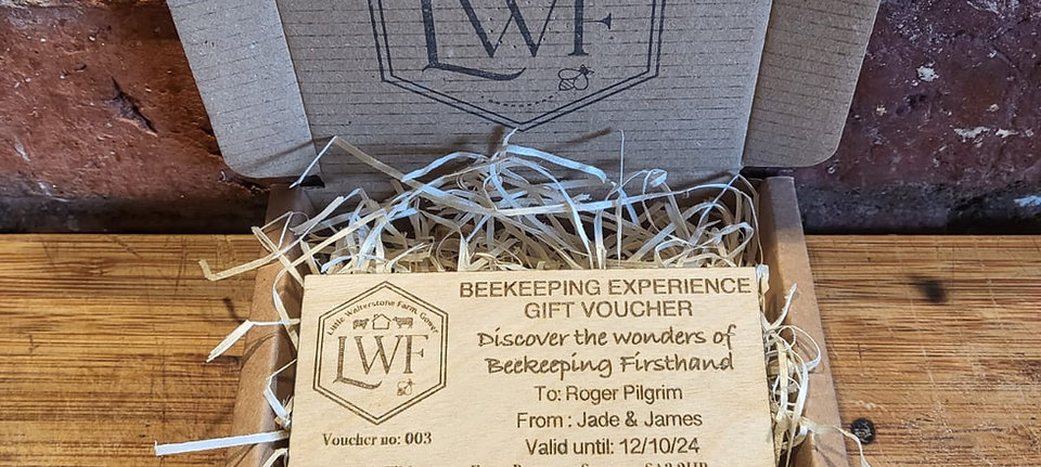 Beekeeping Experience Gift Voucher for 2026
