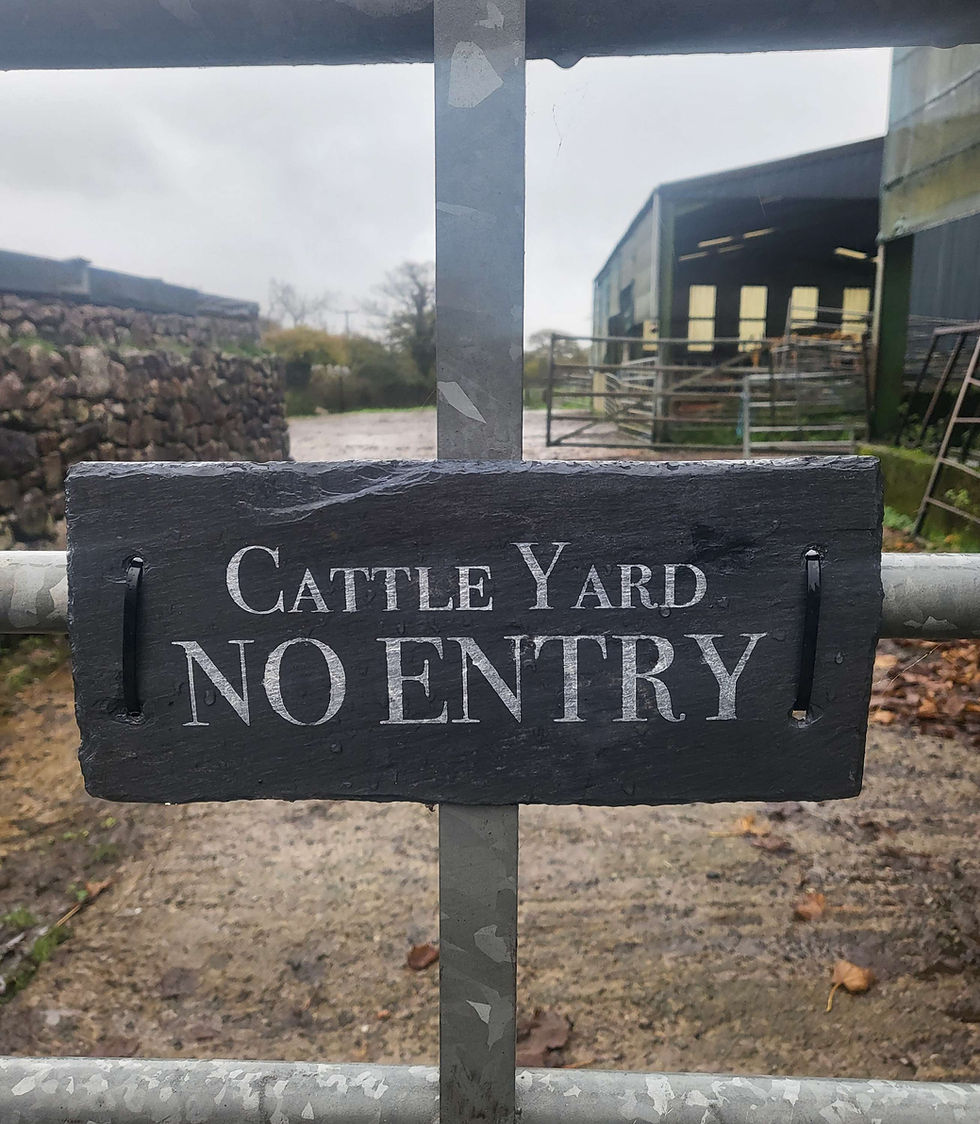 Thumbnail: Personalised Welsh Slate Sign