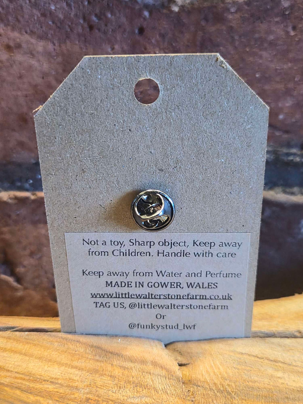 Thumbnail: Wooden Pin Badge  - Hedgehog With Christmas Hat 