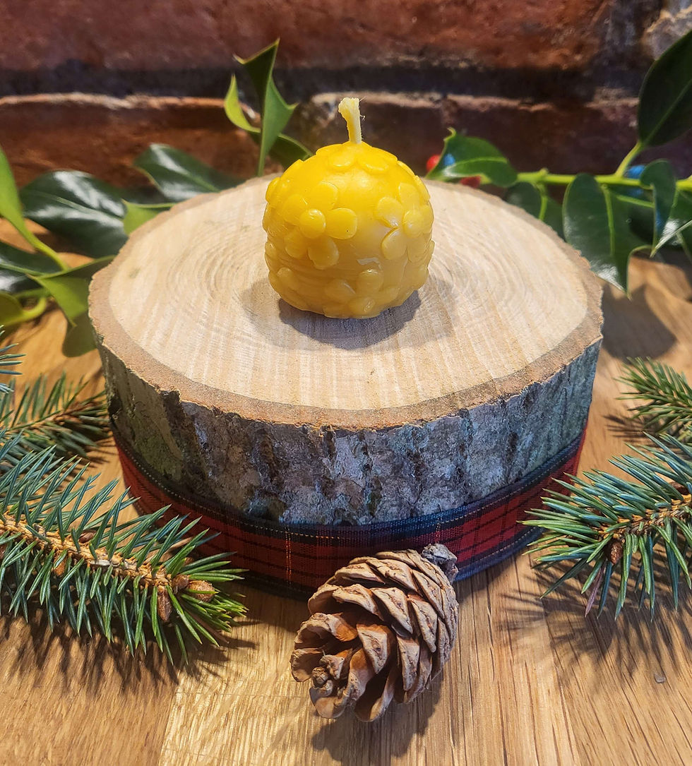 Beeswax Daisy Globe Candle