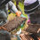 Thumbnail: Beekeeping Experience Day for 2025
