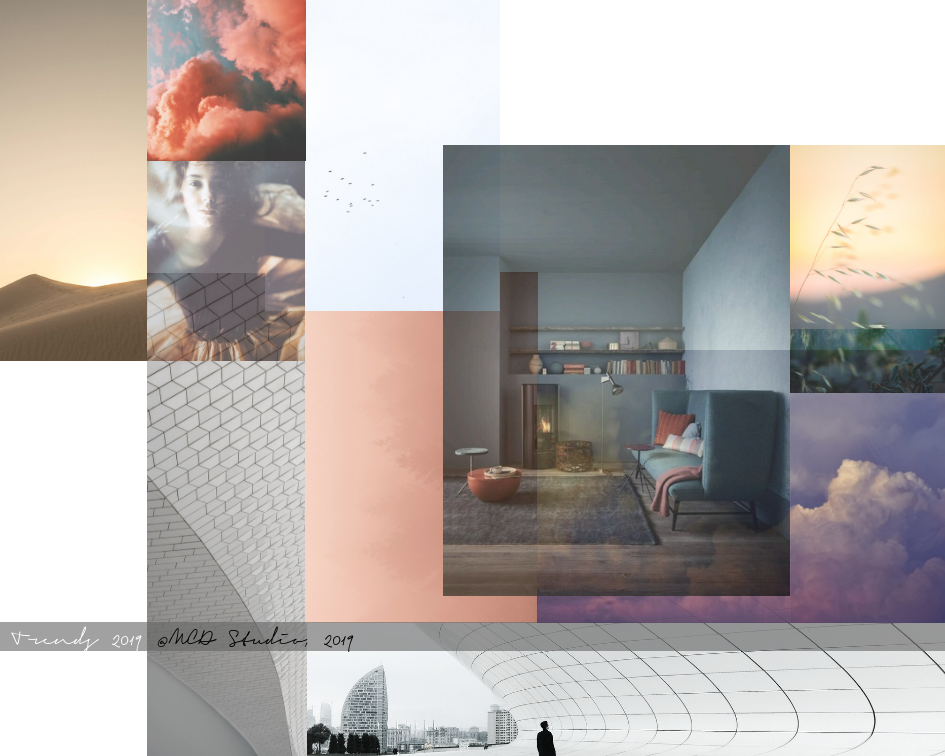 Curente de stil in 2019: sustenabilitate, designul biofilic(apartenenta la natura), well-being, culori definite, grafisme si transparente. @MCD Studio, 2019