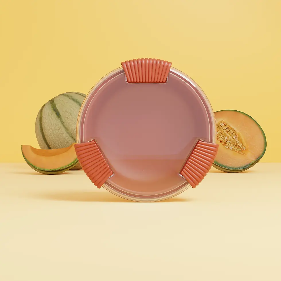 Miniature : La Binibox - Lunch Box - BINI