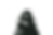 Photo 2 _edited.png
