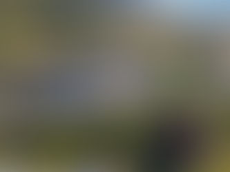 Høgskoleforelesernes tips til nye jusstudenter