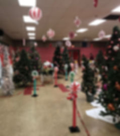 IMG_4517.jpeg