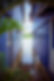 jungle_town_houses.jpg