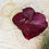 Thumbnail: Scalloped Ornament
