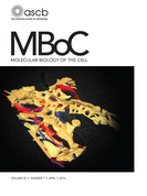 mboc. apr 2014.gif