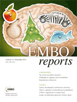 EMBO dec 2012.gif
