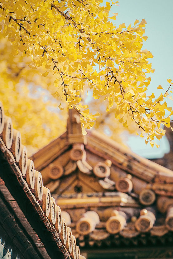 pexels-zhangkaiyv-3210189.jpg