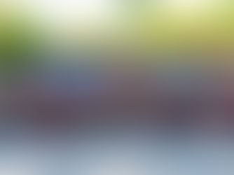 REGUA hosts “Raízes que Lideram” event for women participants of the Replântica Project