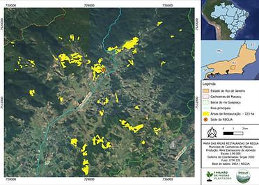 Mapa de áreas restauradas atualizado