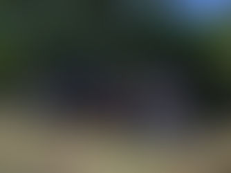 Completion of the 1st Replântica Project Course in 2026, aimed at women from Cachoeiras de Macacu.