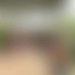 Reserva Ecológica de Guapiaçu inicia primeiro curso do Projeto Replântica em 2026.