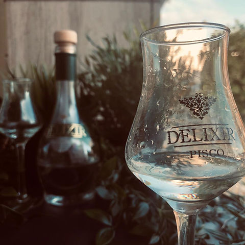 mosto verde italia fondo.jpeg