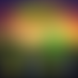 Yellow Brick Road Tour