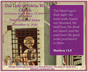 The Bulletin Image 3.png