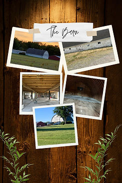 The Barn.jpg