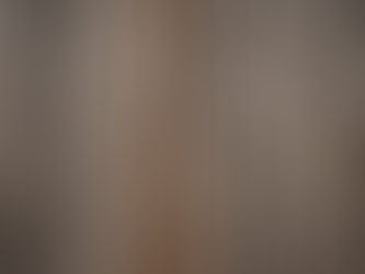 Unveiling the Charm: Historic Barn Wedding Venue in Ohio