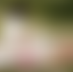 Frau die auf Picknickdecke liest