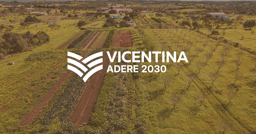 GAL Vicentina Adere 2030 lança a Implementação da Estratégia de Desenvolvimento Local, com a abertura do 1º concurso para apoio ao investimento