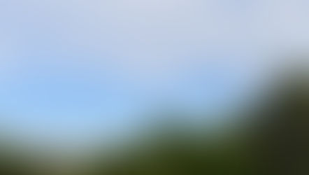 VICENTINA VISITA PROMOTORES PARA VERIFICAÇÕES TÉCNICAS