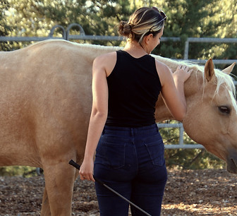 equicoach 2_edited.jpg