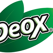 Logo de Beox Chile