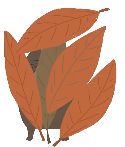 Ein kleiner, niedlicher blinzelnder schwarzbrauner Maulwurf guckt hinter einem Blätterberg hervor.
Gif-Gestaltung:
Susann Stoebe
Illustratorin
OLdenburg
Gif-Gestaltung:
Susann Stoebe