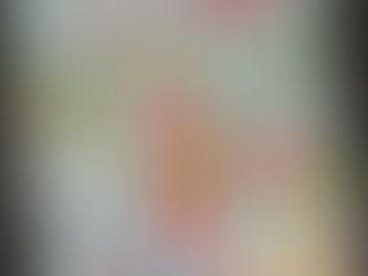 [Buchrezension] Ich erkunde die Natur – Unsere Vögel, [Hersteller] Usborne Verlag