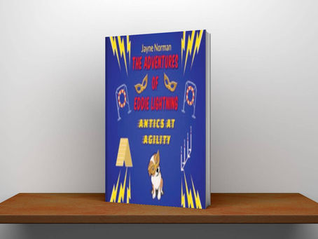 [Book Review] The Adventures of Eddie Lightning (Book 3), [Author] Jayne Norman