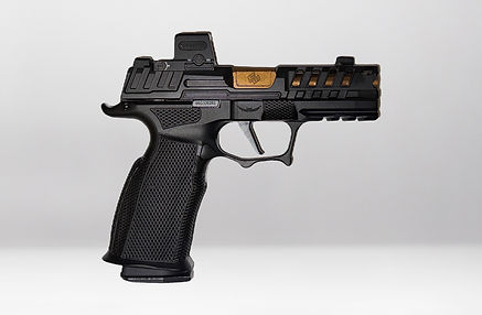 Sig Sauer P365 X Macro Build