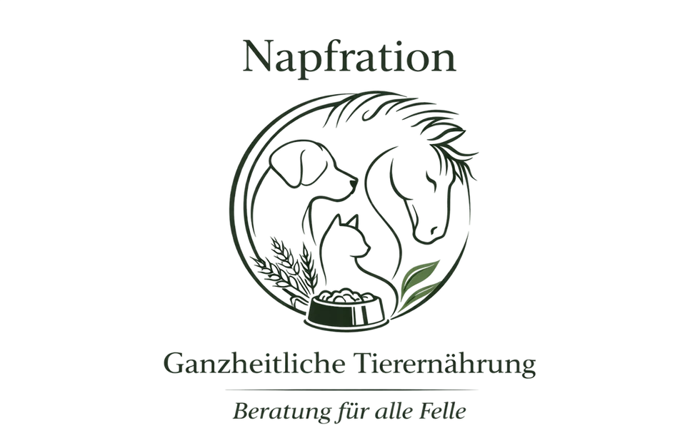 Napfration Logo.png