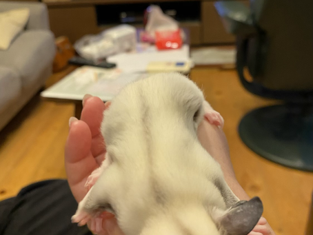 仮名 葵くん超絶可愛いです!
