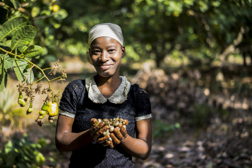 2_Olam-cashew_smallholder-960x641.jpg