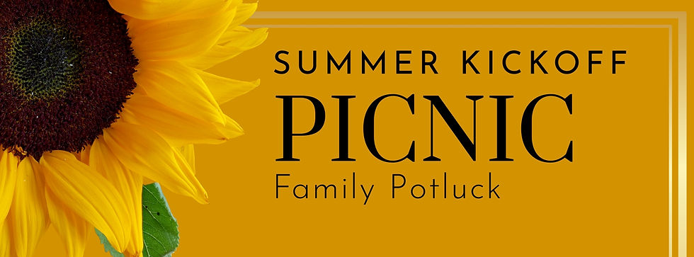 End of Year Picnic and Party