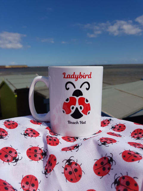 Ladybird Beach Hut Sundeck View | Ladybird Seascapes
