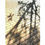 Thumbnail: Light Note - 3/24 Interactions with Sunlights