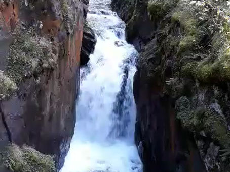 Traverser la vie....