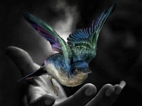 Aujourd'hui qu'as-tu envie de changer ?