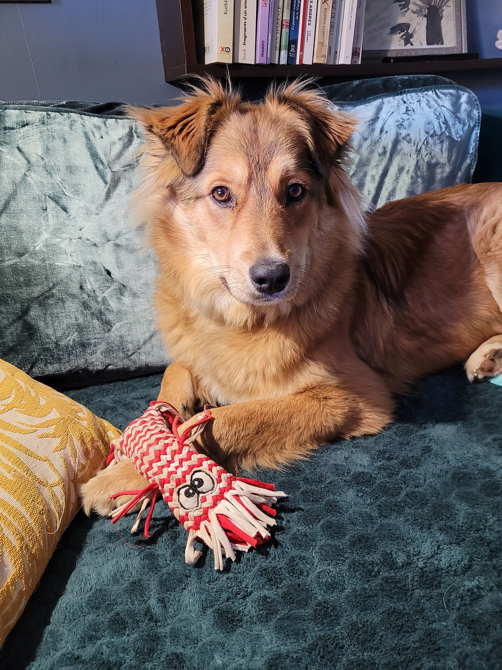 Novak ...L’histoire d’une rencontre.